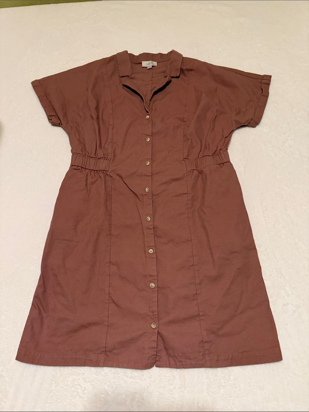 LOFT Rust Button-Front Mini Dress